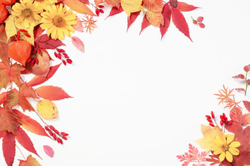 Wall Mural - autumn leaves and flowers on white background