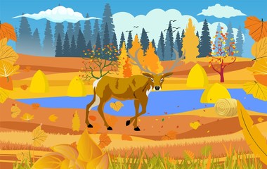 Wall Mural - landscapes of wildlife in autumn. Deer in wildlife scene, with field, grass, forests, vector