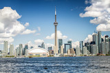 Fototapeta Zwierzęta - Toronto Skyline