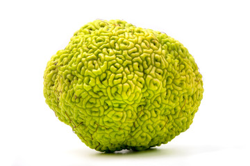 Wall Mural - Osage orange