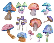 Watercolor Set Of Fantasy Multicolored Mushrooms On A White Background Drawn By Hand By An Aquel. Perfectly Suitable For Printing On Fabric, Printing, Wallpaper And Other Design
