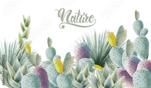 Watercolor green cactus and palm leaves background vector