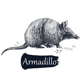 Wall Mural - Hand drawn sketch style armadillo isolated on white background. Vector illustration.