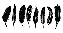 Pen Feather Icon Simple Style Vector Image. Feathers Vector Set In A Flat Style. Isolated Feathers Silhouette