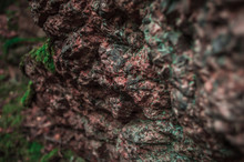 Red Stone With Green Dots In Macro