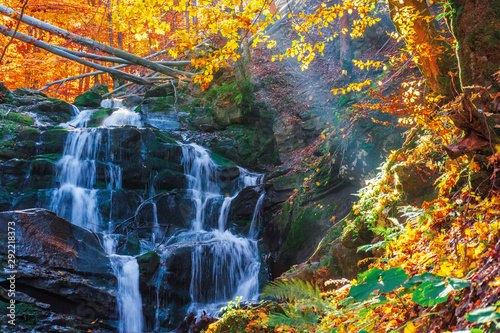 beautiful-autumn-scenery-near-the-waterfall-shypot-popular-destination-of-ukrainian-carpathians-trees-in-golden-foliage-calm-sunny-weather-in-autumn