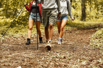 Wall Mural - people hiking.only legs and tracking boots are visible.