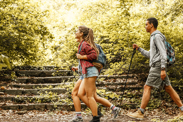 Wall Mural - group of friends hiking in nature.they walking trough forest and meadows.
