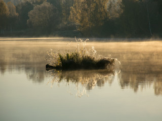 Wall Mural - landscape with brightly colored trees in autumn, fog over the lake, beautiful reflections, bright colors