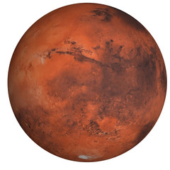 Wall Mural - high detailed mars planet of solar system with south pole side isolated on white background. element