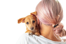 Closeup Of Young Woman With Pink Hair Facing Away Holding Cute Mixed Breed Puppy Looking At Camera