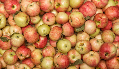 Organic apples harvest. Box full of fresh red and yellow apples on outside street city market. Tasty delicious apples