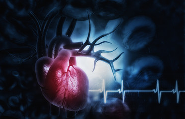 Wall Mural - 3d illustration of Abstract medical background with Human heart anatomy.