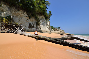 Canvas Print - tree on the beach