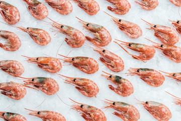 prawns lie on the ice in the store or in the kitchen of a restaurant. Background seafood