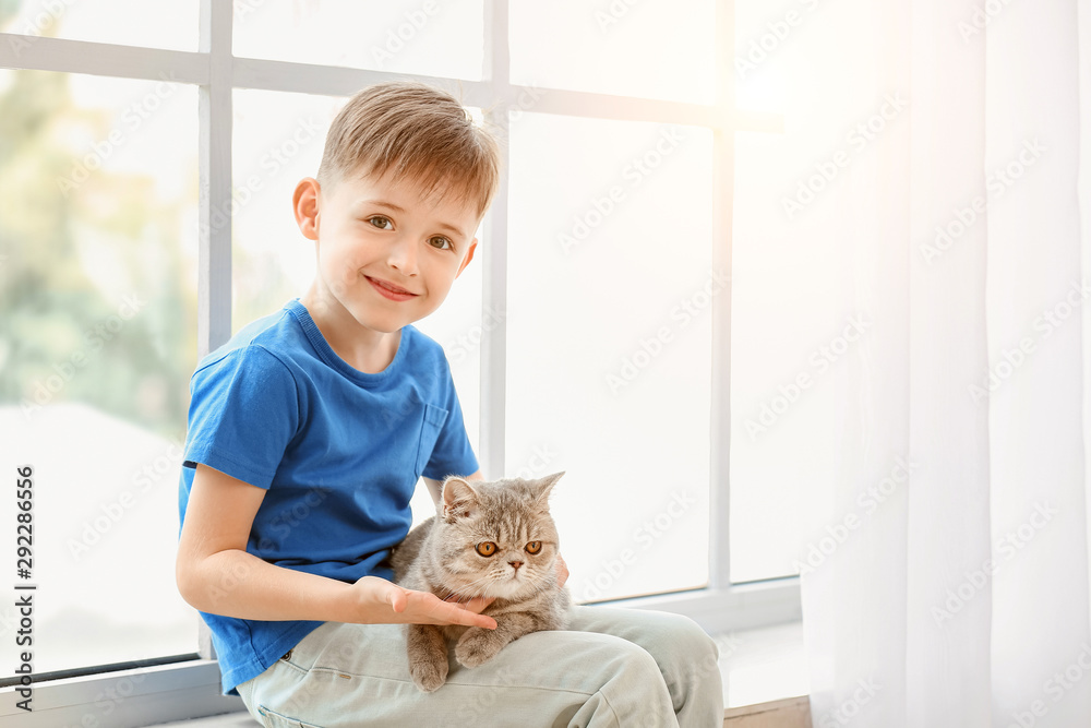 Little boy with cute cat near window