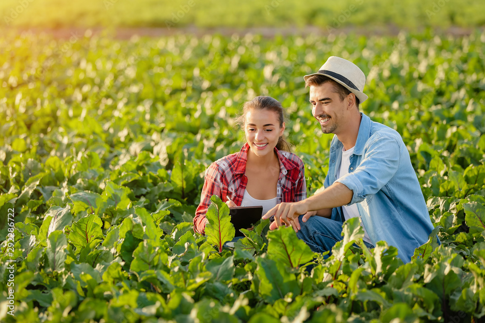 Young farmers working in field