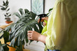 Young woman spraying water on houseplant at home, closeup