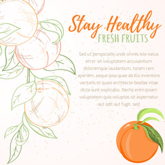 Wall Mural - Peach or apricot fruit card