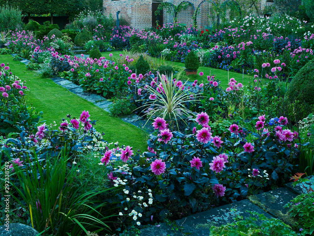 A colourful sunken flower border of Dahlias including Dahlia 'Fascination'  in a summer garden Stock Photo | Adobe Stock