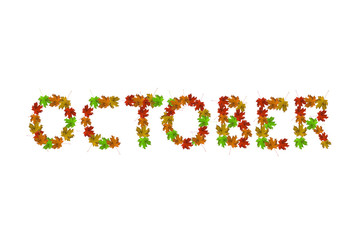 Aufkleber - Phrase october of yellow, green and orange maple autumn leaves close-up. Isolate on white background. autumn or fall concept.