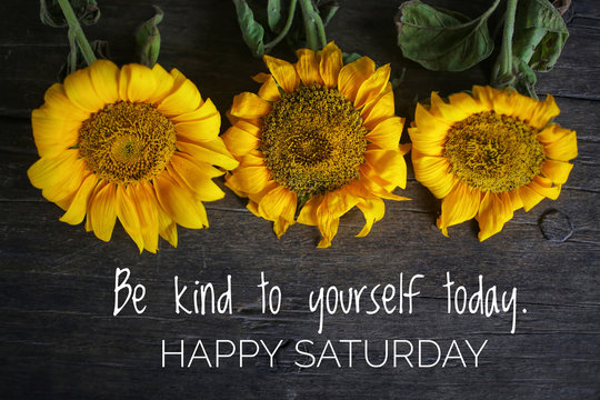 Wall Mural -  - Inspirational motivational quote - Be kind to yourself today. With 3 beautiful sunflowers on rustic wooden table background. Self reminder, happy Saturday greeting concept.