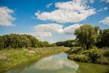 Wall Mural - ordinary summer season green trees and grass foliage landscape with river landscape 