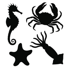 Sea Animals Icons Set. Seahorse, Starfish, Crab And Squid Graphic Signs Isolated On White Background. Sea Life Symbols. Vector Illustration