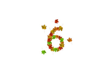 Aufkleber - Number six made with autumn leaves isolated on white. Fall concept. Organic digits from 0 to 9