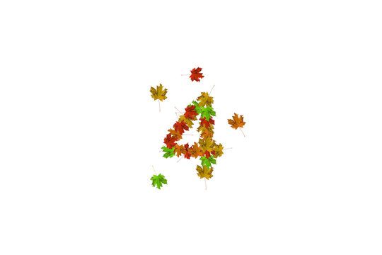 Number four made with autumn leaves isolated on white. Fall concept. Organic digits from 0 to 9