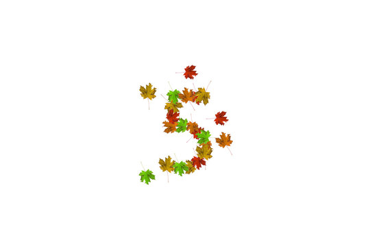 Number five made with autumn leaves isolated on white. Fall concept. Organic digits from 0 to 9