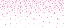 Cherry Blossom Flower Banner Template - Realistic Pink Sakura Petals Falling From Above.