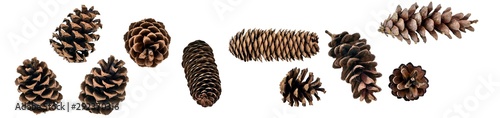 Fotografía A big set of coniferous cones, spruce, pine, fir, from different angles, isolate