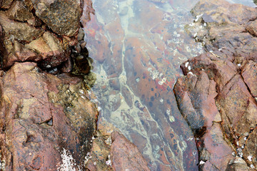 rocks in the water