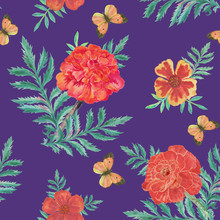 Watercolor Butterflies, Orange And Yellow Marigold On Purple Background. Seamless Pattern 