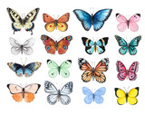Fototapeta  - Set of watercolor illustrations depicting bright butterflies isolated on a white background, hand-painted