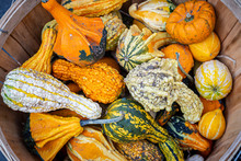 Looking Down At A Basket Of Colourful Gourds For Sale On A Farmers Market Stall