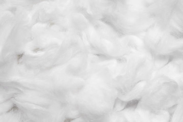 cotton soft fiber texture background, white fluffy natural material