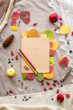 Fototapeta  - notebook and writing materials among the natural autumn accessories: dried leaves, cones, apples, wild rose and cherry fruits, sticks, feathers on a knitted wool background of brown color