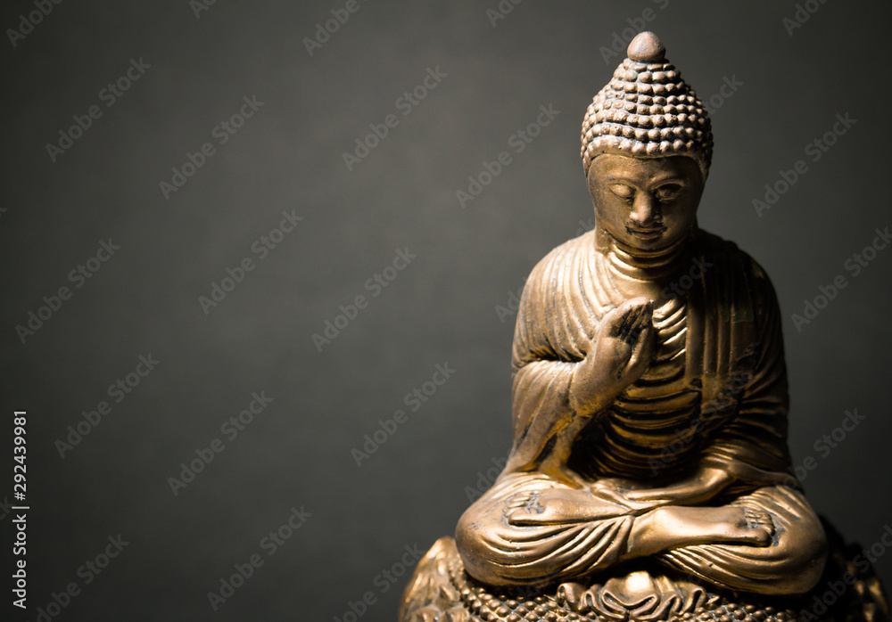 The statue of the Lord Buddha in Chinese style on a black background - obrazy, fototapety, plakaty 