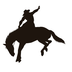 Rodeo Silhouette