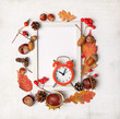 Autumn composition with white frame and red retro alarm clock, autumnal leaves, acorns, cones, berries on white background. fall season, thanksgiving day concept. Flat lay, top view, copy space