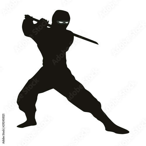 Fotografering Ninja Silhouette