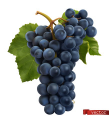 Wine grapes. Fresh fruit, 3d realistic vector