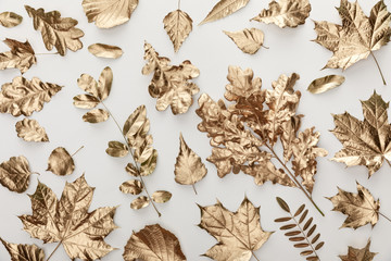 Wall Mural - top view of golden painted foliage on white background