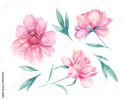 Watercolor floral set. Hand drawn  illustration with peonies.