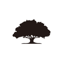 Oak tree icon vector