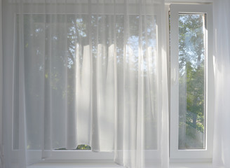 the garden in the window behind the transparent curtains