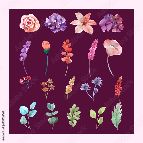 isolated set watercolor flowers for Illustration