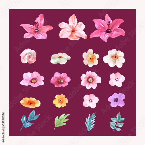 isolated set watercolor flowers for Illustration